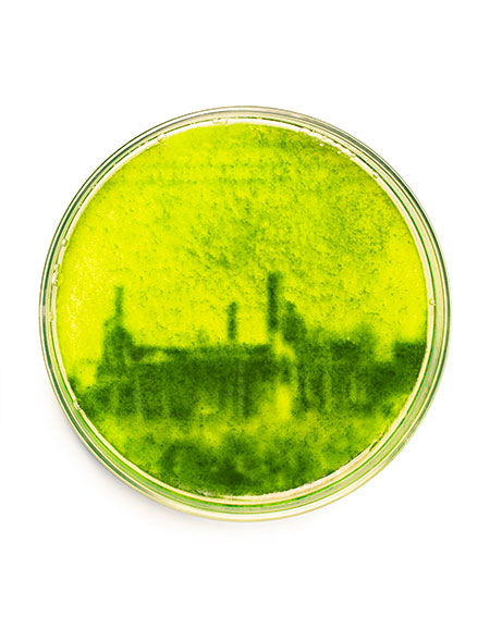 Flatland by Kari Varner