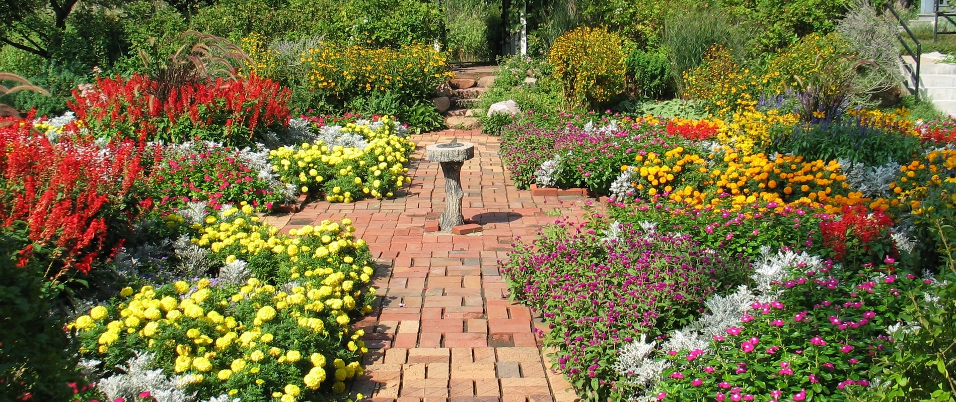 The garden at the General Crook House on the Fort Omaha Campus in bloom.